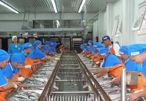 Работа на рыбоконсервном заводе (Крым)